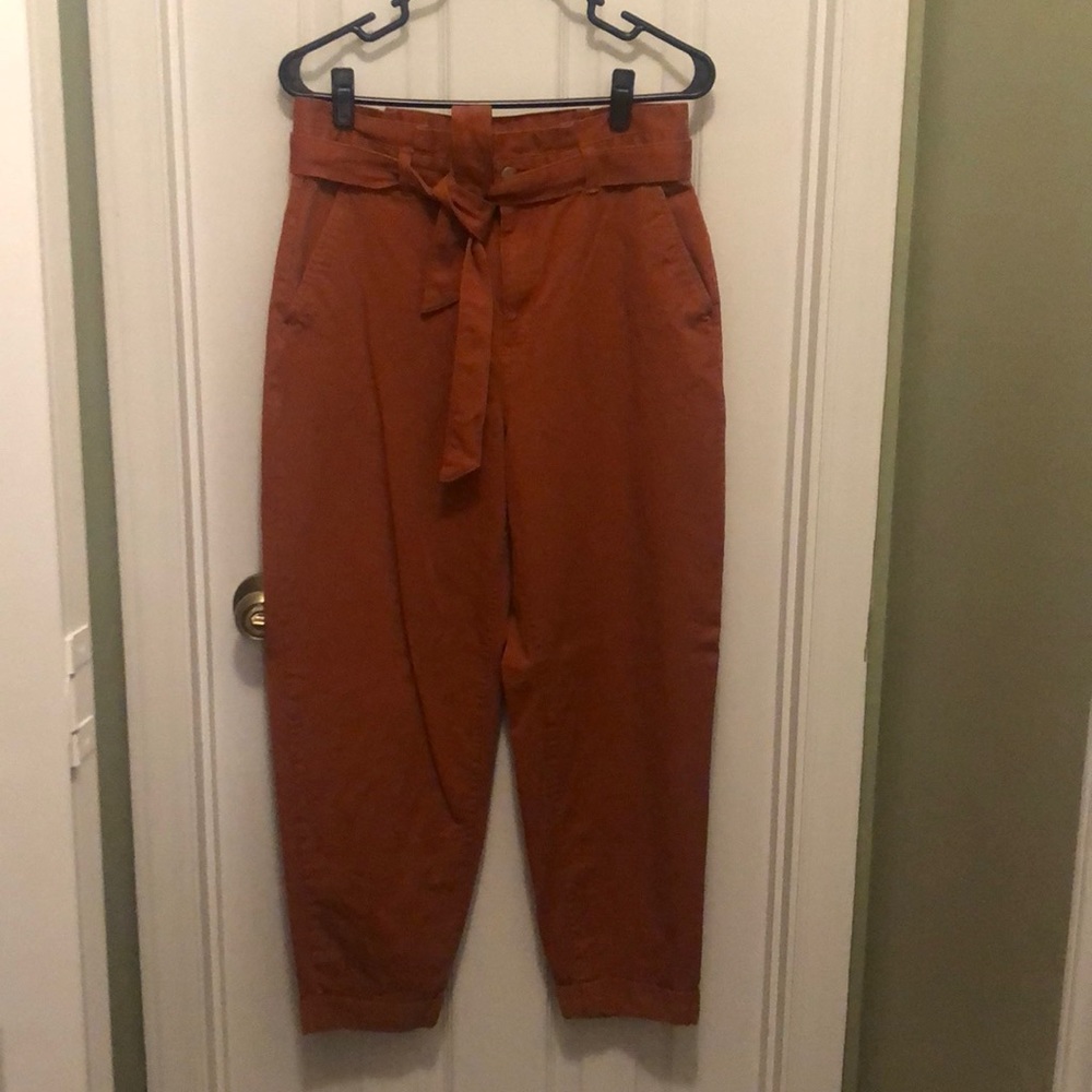 Banana Republic Barrel Pant 10 rust color
